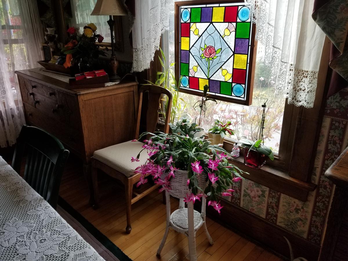 كوبرستاوون Rose & Thistle Bed & Breakfast المظهر الخارجي الصورة