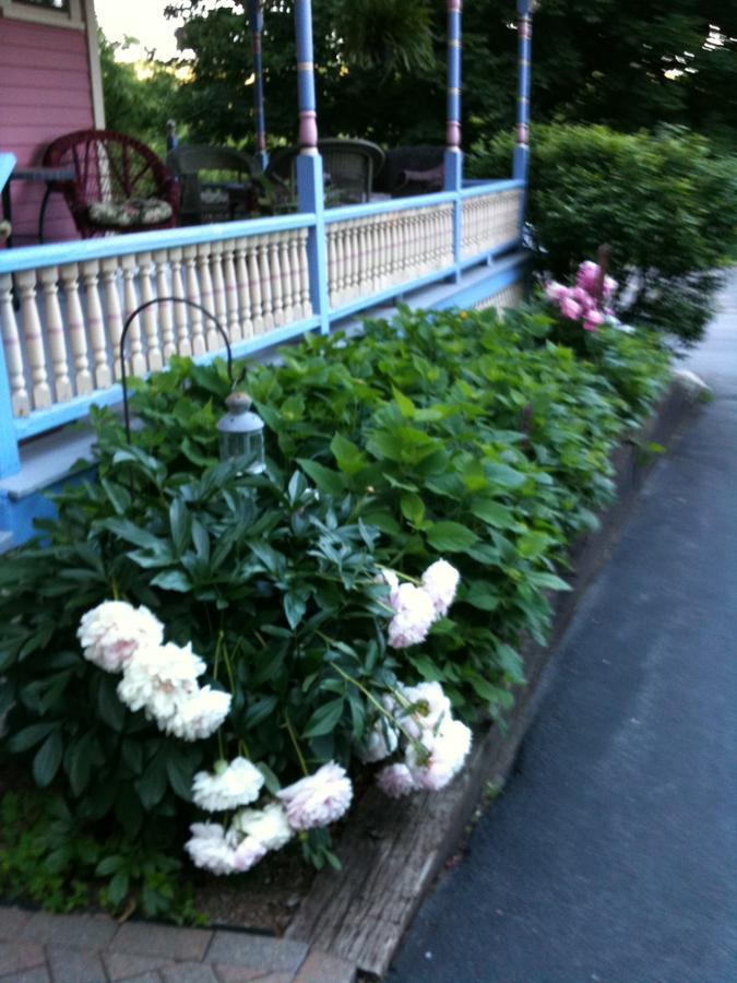 كوبرستاوون Rose & Thistle Bed & Breakfast المظهر الخارجي الصورة